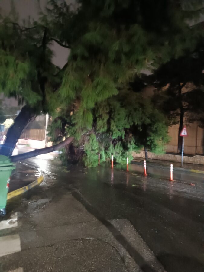 Κακοκαιρία Byron: Δέντρο έπεσε σε κεντρικό δρόμο της Νέας Σμύρνης
