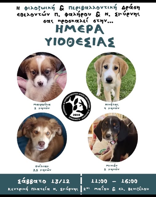 Ημέρα Υιοθεσίας της Φιλοζωική & Περιβαλλοντική Δράση Εθελοντών Π.Φαλήρου & Ν.Σμύρνης
