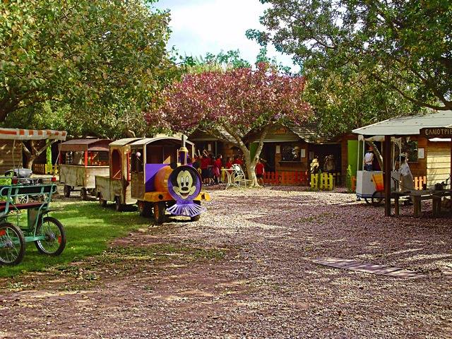 Φεστιβάλ της ‘Aνοιξης – Spring Festival