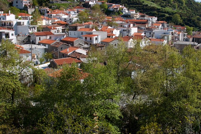 Ημερήσια εκδρομή στη Στενή Ευβοίας την Κυριακή 4/12/16 από το Σύλλογο Ν.Σμύρνης “Ποιότητα Ζωής”
